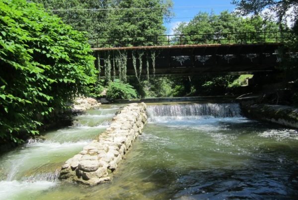 Passe à poissons sur le Sierroz © CISALB